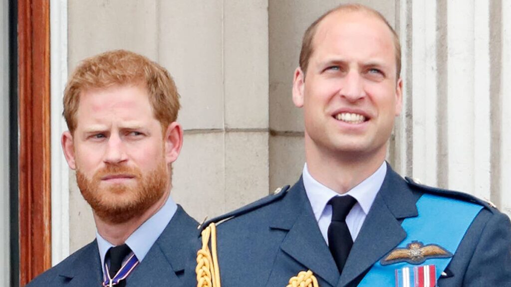 Prince Harry and Prince William ‘s reunion will be a ‘long time waiting’
