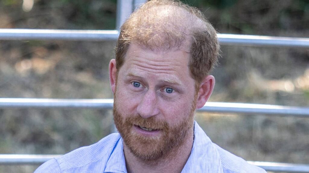 Prince Harry makes surprise skydiving plans 8 days after his royal UK move