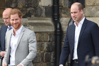Prince William and Prince Harry’s last remaining link amid royal rift revealed