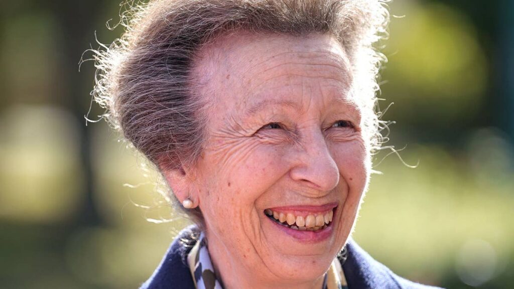 Princess Anne leads business as usual royals after Prince Harry revelation