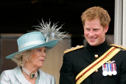 Queen Camilla’s olive branch to Prince Harry at Highgrove reunion after he branded her ‘the villain’ – report