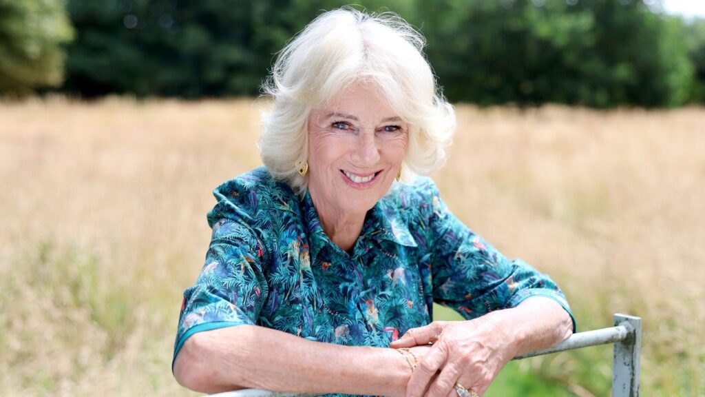 Queen Camilla puts differences aside with Prince Harry amid Sussexes’ UK return: Report