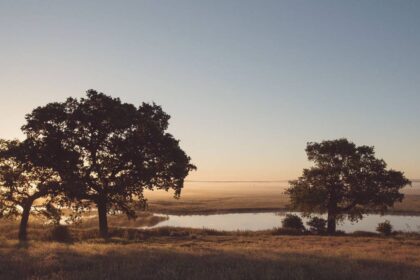 I went on safari – just over an hour from London