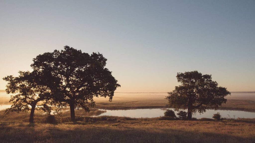 I went on safari – just over an hour from London