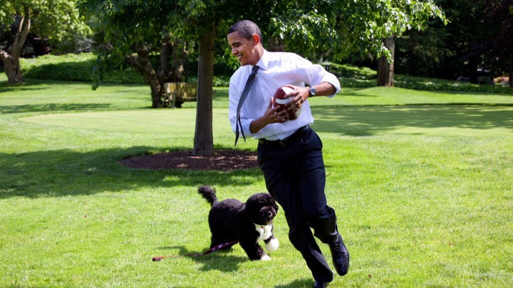 Barack Obama mourns the sad passing of their beloved presidential pet