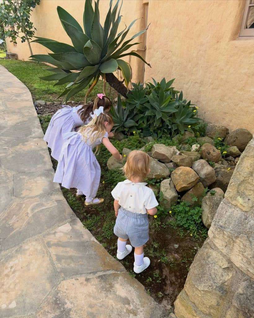 Chris Pratt and Katherine Schwarzenegger face $12 million family loss