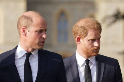 Prince Harry and Prince William fall-out: Charles Spencer breaks silence