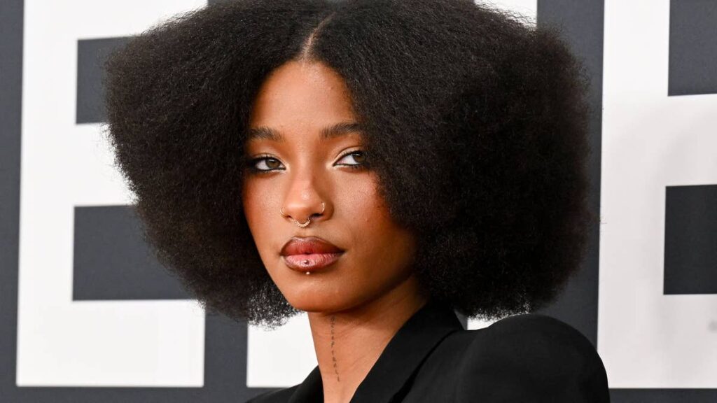 Willow Smith stuns in tiny black bikini as she reveals glimpse inside mysterious summer