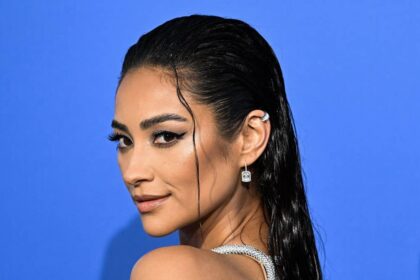 Shay Mitchell wows in tiny textured bikini in new photos