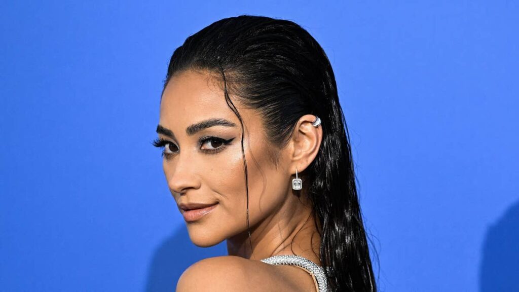 Shay Mitchell wows in tiny textured bikini in new photos