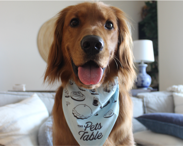 dog-health